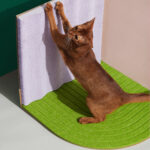 3-Dimensional Cat Scratcher -refill