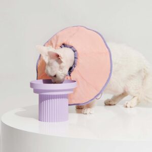 Dual-use Cone Collar -Shell Pink