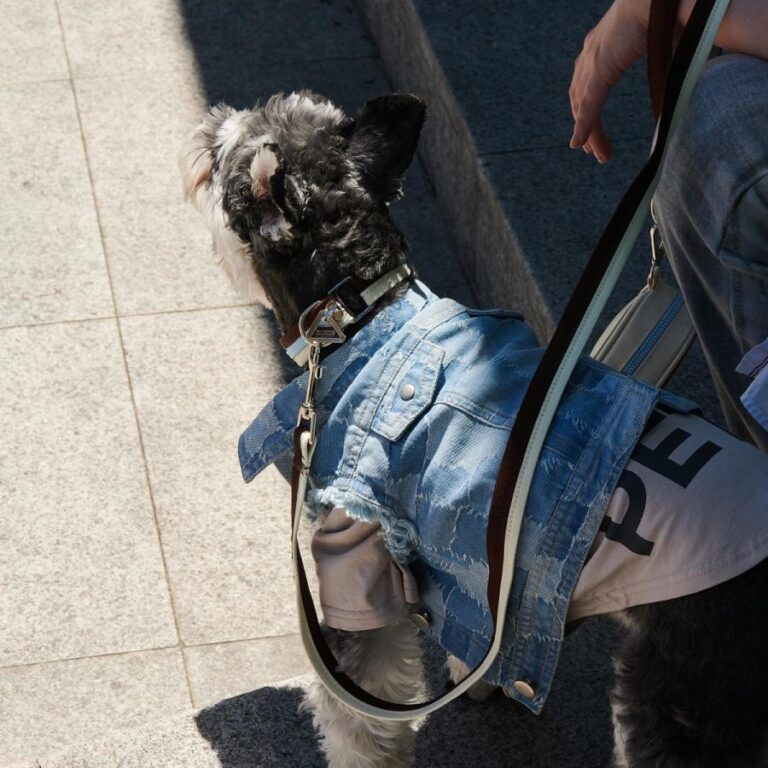 Distressed patchwork denim jacket