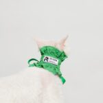 Ruffle Bib&headband -Forest Green