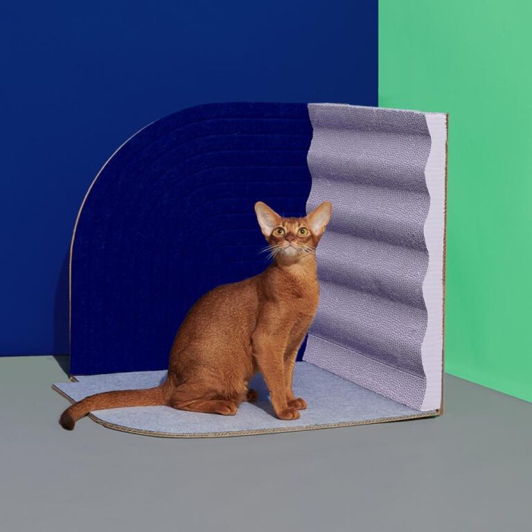 3-Dimensional Cat Scratcher -Velevt Blue