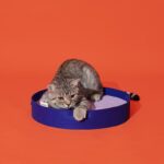 Felt Cat Scratcher-Silence Blue