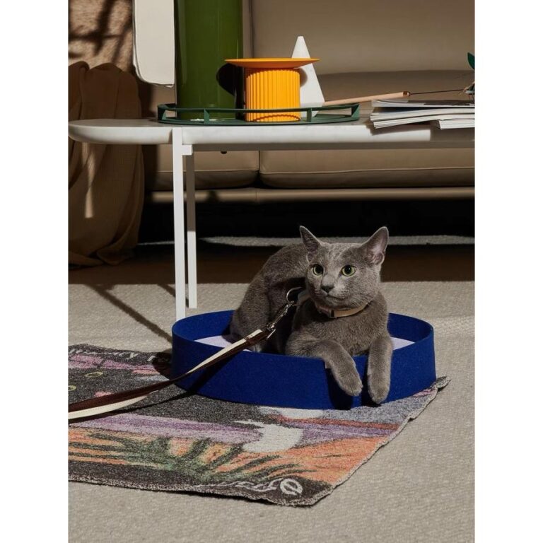 Felt Cat Scratcher-Silence Blue