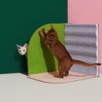 3-Dimensional Cat Scratcher -Lawn Green