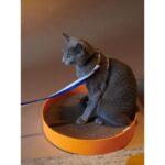 Felt Cat Scratcher-Volcano Orange