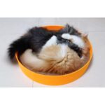 Felt Cat Scratcher-Volcano Orange