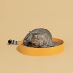 Felt Cat Scratcher-Volcano Orange