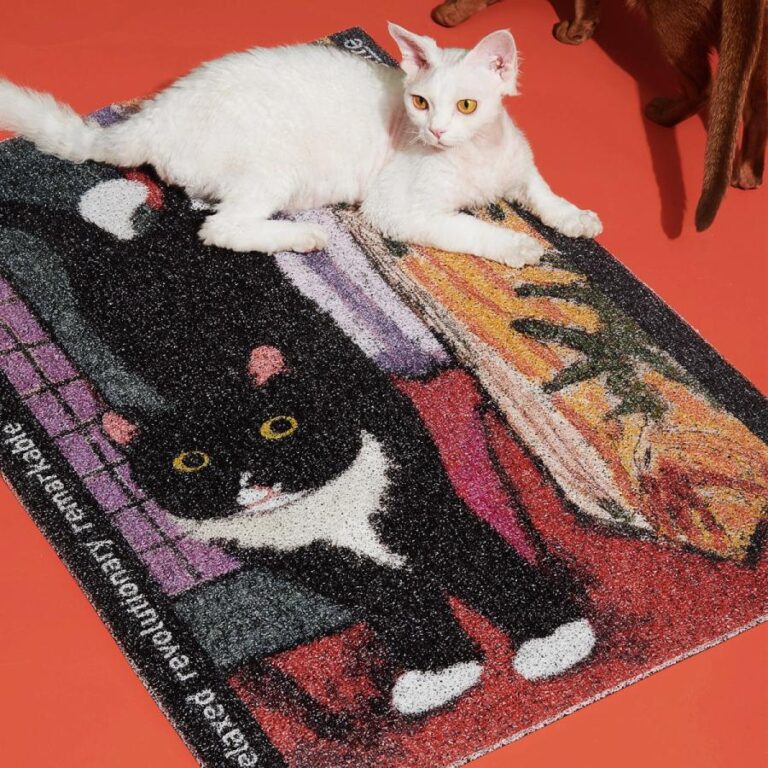 Floor Mat-Meow#48 S