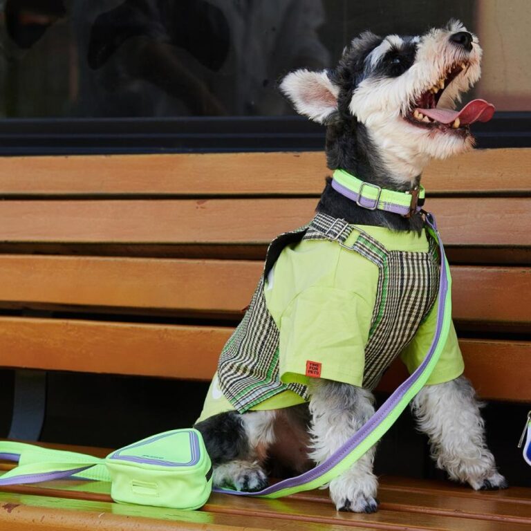 Unzip Color Matching Collar Suit-Neon