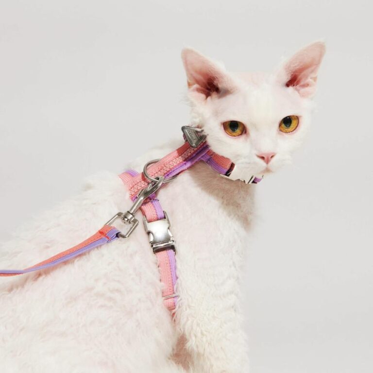 H-Shaped Cat Harness Suit -Hana