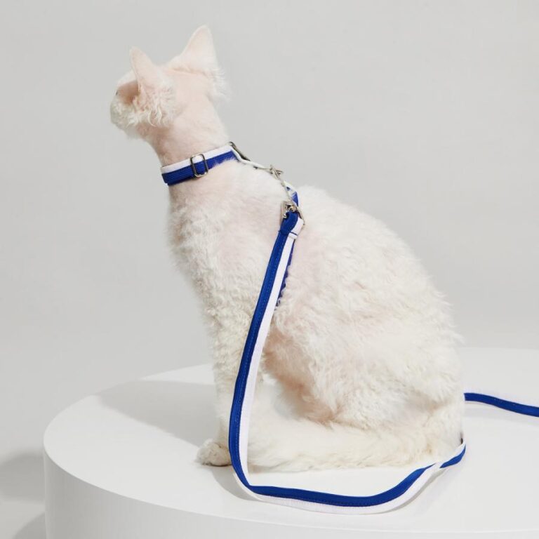 H-Shaped Cat Harness Suit -Urban