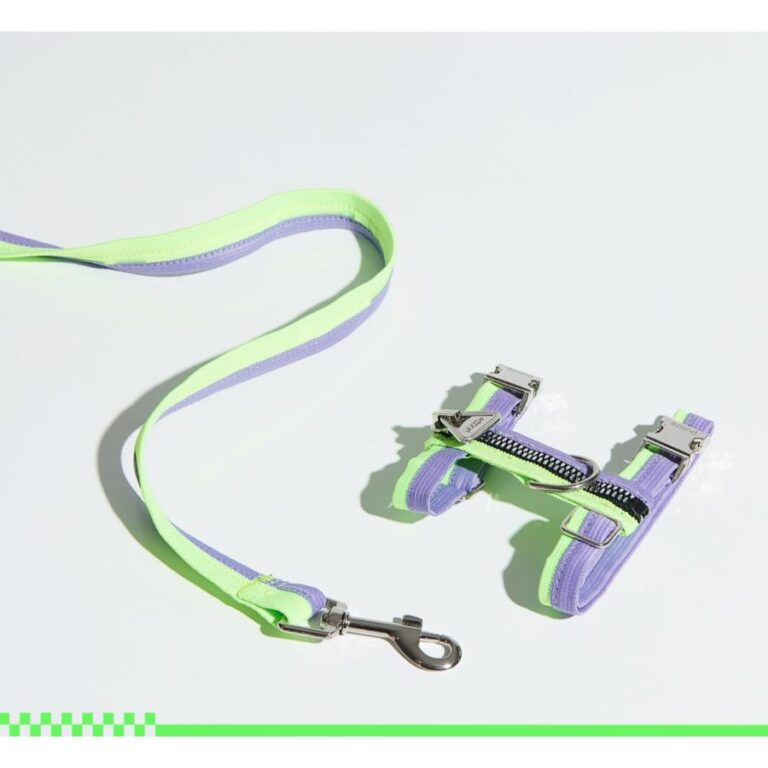 H-Shaped Cat Harness Suit -Neon