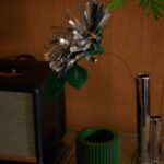 Sliver Grass