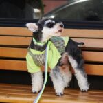 Summer cooling T-shirt-Green