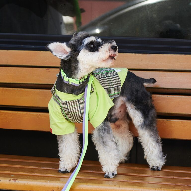 Summer cooling T-shirt-Green