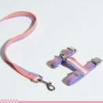 H-Shaped Cat Harness Suit -Hana