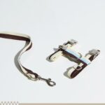 H-Shaped Cat Harness Suit -Sandy