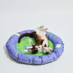 BOOM BOOM CAT PET COOLING MAT-Electric Cat