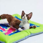 BOOM BOOM CAT PET COOLING MAT-Pixel Cat