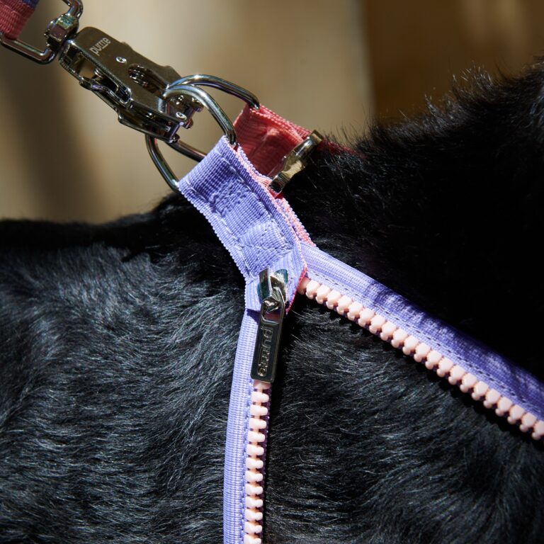 Unzip Y-Shaped Harness Suit-Hana