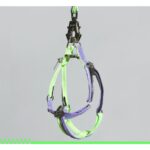 Unzip Y-Shaped Harness Suit-Neon