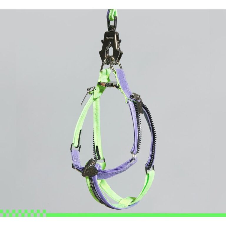 Unzip Y-Shaped Harness Suit-Neon