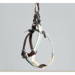 Unzip Y-Shaped Harness Suit-Sandy