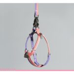 Unzip Y-Shaped Harness Suit-Hana