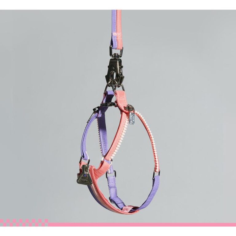 Unzip Y-Shaped Harness Suit-Hana