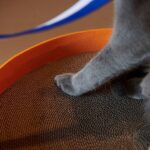 Felt Cat Scratcher-Volcano Orange