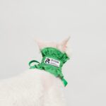 Ruffle Bib&headband -Forest Green