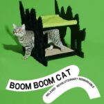 Fluffy Night Boom Boom Cat