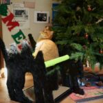 Fluffy Night Boom Boom Cat