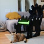 Fluffy Night Boom Boom Cat