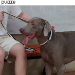 Unzip Color Matching Collar Suit-Hana