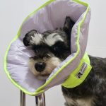 Dual-use Cone Collar -Violet