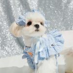 Ruffle short cut-out suit -Baby Blue