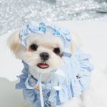 Ruffle short cut-out suit -Baby Blue