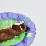 BOOM BOOM CAT PET COOLING MAT-Electric Cat