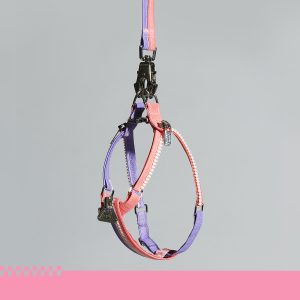 Unzip Y-Shaped Harness Suit-Hana