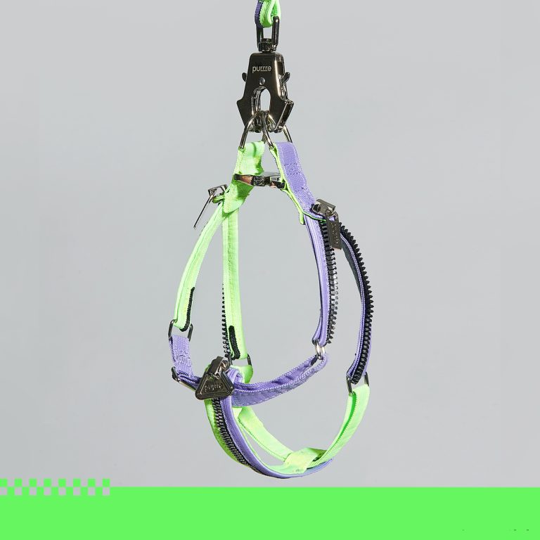 Unzip Y-Shaped Harness Suit-Neon