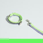 Unzip Color Matching Collar Suit-Neon