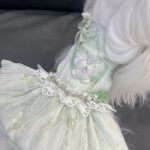 fairy dress