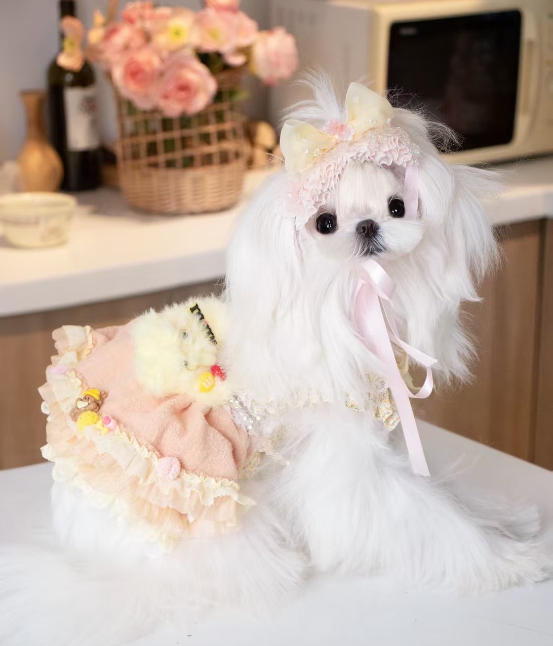 sweet rabbit dress
