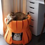 Fortress Traveller-Volcano Orange