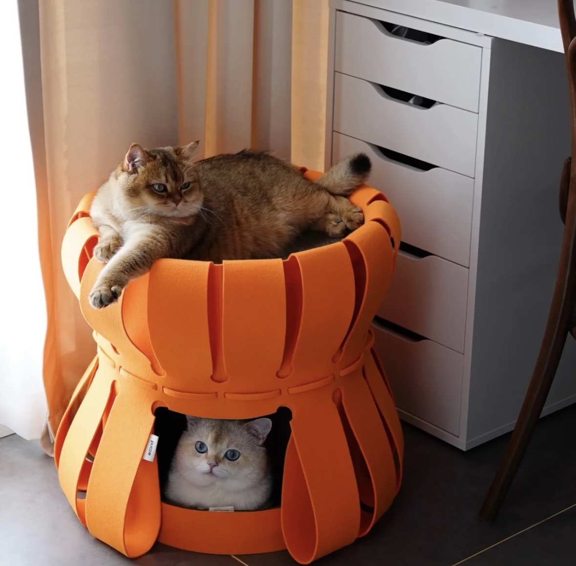 Fortress Traveller-Volcano Orange