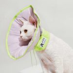 Dual-use Cone Collar -Violet