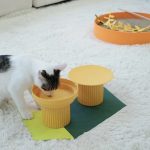 Teeth Party  Bowl-Sunset