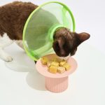 Breathable Mesh Elizabethan Collar-Neon Green