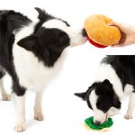 Cheese Burger